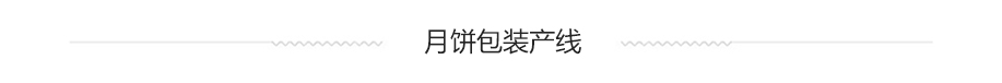 月餅食品包裝產(chǎn)線系統(tǒng)方案